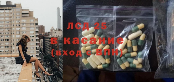 ГАЛЛЮЦИНОГЕННЫЕ ГРИБЫ Абаза
