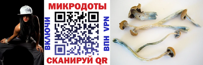 Псилоцибиновые грибы GOLDEN TEACHER даркнет сайт Шали
