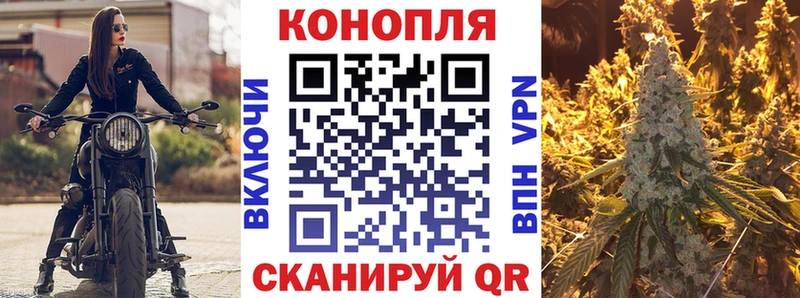 Конопля индика  купить наркотики цена  сайты даркнета состав  Шали  ссылка на мегу ONION 